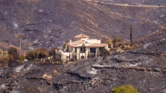 Imágenes de la zona afectada por el incendio de Los Gallardos. Francisco J. Olmo / Europa Press