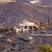 Imágenes de la zona afectada por el incendio de Los Gallardos. Francisco J. Olmo / Europa Press Imágenes de la zona afectada por el incendio de Los Gallardos. Francisco J. Olmo / Europa Press
