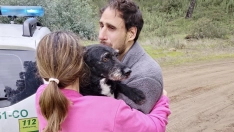 Localizan con vida a Boro, el perro perdido tras el accidente ferroviario de Adamuz
