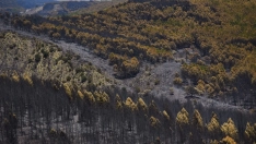 Superficie forestal quemada durante el incendio forestal, a 19 de julio de 2026. Mateo Lanzuela / Europa Press