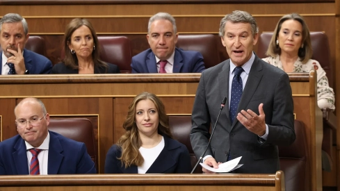 El presidente del PP, Alberto Núñez Feijóo, durante una sesión de control al Gobierno, en el Congreso. Marta Fernández / Europa Press El presidente del PP, Alberto Núñez Feijóo, durante una sesión de control al Gobierno, en el Congreso. Marta Fernández / Europa Press