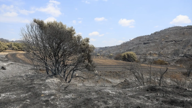 Extension of land burned during a forest fire, on the road between Orés and Luesia. Ramón Comet / Europa Press