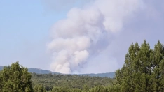 EuropaPress 7677731 vista humo incendio forestal 20 julio 2026 guadalajara castilla la mancha