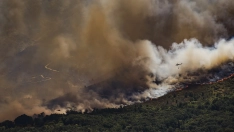 Vista de una espesa columna de humo provocada por un incendio forestal, a 23 de julio de 2026, en Burgohondo, Ávila. Mateo Lanzuela / Europa Press