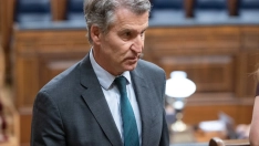 El presidente del Partido Popular, Alberto Nuñez Feijóo, hoy en el Congreso de los Diputados. Jesús Hellín / Europa Press