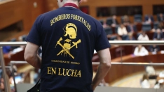 Un bombero forestal asiste como público a una sesión plenaria en la Asamblea de Madrid. Foto de archivo: Eduardo Parra / Europa Press