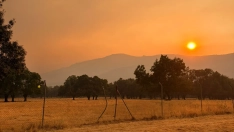 La situación se complica en las cercanías a El Escorial por el incendio. Imagen de: Vanessa Pineda desde el Camping El Escorial