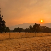 La situación se complica en las cercanías a El Escorial por el incendio. Imagen de: Vanessa Pineda desde el Camping El Escorial