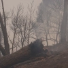 Vista del humo del incendio forestal, a 27 de julio de 2026, en Navas del Rey, Madrid. Alejandro Martínez Vélez / Europa Press