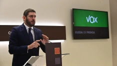 El vicepresidente aragonés y líder autonómico de la ultraderecha Vox, Alejandro Nolasco. Foto de archivo: Ramón Comet / Europa Press