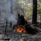 Puntos calientes tras el paso del incendio forestal, a 27 de julio de 2026, en Casillas, Ávila. Alberto Ortega / Europa Press