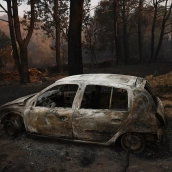Un coche calcinado por el incendio forestal a las afueras de Casavieja, a 29 de julio de 2026, en Ávila. Alejandro Martínez Vélez / Europa Press Un coche calcinado por el incendio forestal a las afueras de Casavieja, a 29 de julio de 2026, en Ávila. Alejandro Martínez Vélez / Europa Press