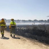 Dos bomberos trabajan en las labores de extinción de un incendio forestal, a 30 de julio de 2026, en Muga de Sayago, Zamora. Paloma V. Escarpa / Europa Press Dos bomberos trabajan en las labores de extinción de un incendio forestal, a 30 de julio de 2026, en Muga de Sayago, Zamora. Paloma V. Escarpa / Europa Press