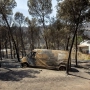 Zonas calcinadas por el incendio de la Vall d’Uixó, Castellón. Ángel Sánchez / Europa Press