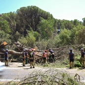 EuropaPress 7695750 zonas calcinadas paso incendio sierra oeste madrid 30 julio 2026 pelayos