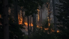 Vista del incendio cerca de la Charca de la Nieta, a 26 de julio de 2026, en Piedralaves, Ávila. Gabri Solera / Europa Press