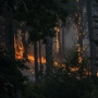 Vista del incendio cerca de la Charca de la Nieta, a 26 de julio de 2026, en Piedralaves, Ávila. Gabri Solera / Europa Press