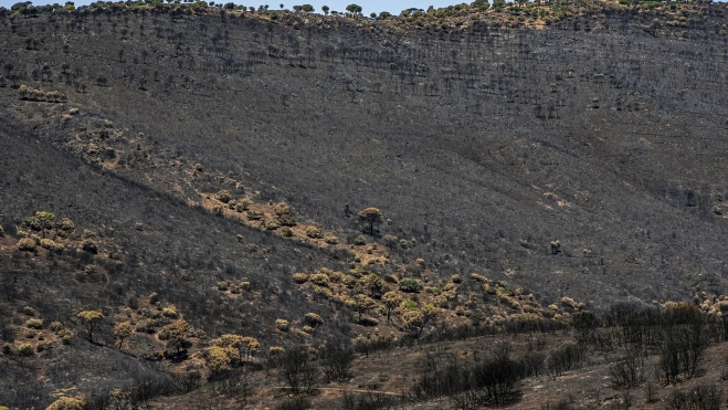 Vista tras el incendio, a 4 de agosto de 2026, en Navas del Rey, Madrid. Gabri Solera / Europa Press Vista tras el incendio, a 4 de agosto de 2026, en Navas del Rey, Madrid. Gabri Solera / Europa Press