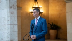 El presidente del Gobierno, Pedro Sánchez.  Javier Fernández / Europa Press