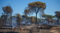 Incendio forestal en Huelva. Francisco J. Olmo / Europa Press