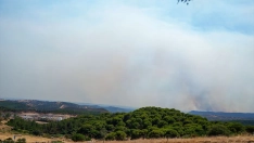El incendio forestal de Niebla (Huelva) amenaza a la localidad sevillana de El Madroño. Francisco J. Olmo / Europa Press