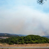 El incendio forestal de Niebla (Huelva) amenaza a la localidad sevillana de El Madroño. Francisco J. Olmo / Europa Press