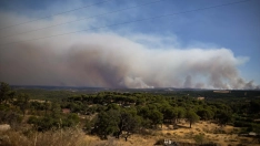Imagen de zona afectada por el incendio de Niebla (Huelva). Clara Carrasco/Europa Press.