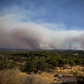 Imagen de zona afectada por el incendio de Niebla (Huelva). Clara Carrasco/Europa Press.