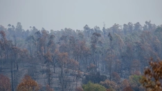 Incendio forestal en Huelva. Francisco J. Olmo / Europa Press
