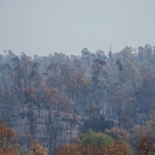 Incendio forestal en Huelva. Francisco J. Olmo / Europa Press