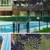 Parte de la piscina y jardín de la urbanización en la que ahora reside la presidenta de la Comunidad de Madrid, Isabel Díaz Ayuso. Fuente: ElPlural Parte de la piscina y jardín de la urbanización en la que ahora reside la presidenta de la Comunidad de Madrid, Isabel Díaz Ayuso. Fuente: ElPlural