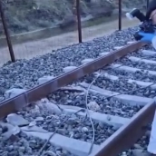 aa76ec31 3829 425b 9d59 196fc9cb47bf