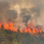 Incendio en Castellón. Fuente: @BombersDipcas en X, imagen de la Diputación de Castellón