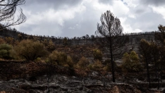 EuropaPress 7728168 terreno quemado incendio 23 agosto 2026 gatova valencia comunidad