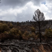 EuropaPress 7728168 terreno quemado incendio 23 agosto 2026 gatova valencia comunidad