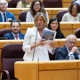 EuropaPress 7758419 portavoz pp senado alicia garcia interviene sesion plenaria senado