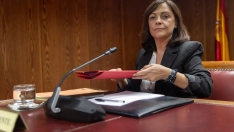 EuropaPress 7050045 gerente partido socialista obrero espanol psoe ana maria fuentes pacheco