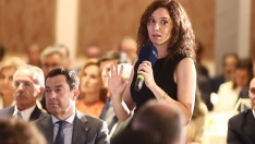 La presidenta de la Comunidad de Madrid, Isabel Díaz Ayuso. Eduardo Parra / Europa Press