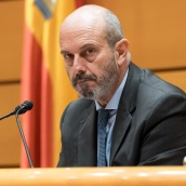 El presidente del Senado, Pedro Rollán.