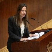La portavoz de VOX en la Asamblea de Madrid, Isabel Pérez Moñino.