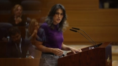 EuropaPress 7764332 portavoz mas madrid asamblea madrid manuela bergerot debate estado region