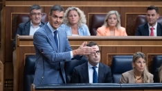 El presidente del Gobierno, Pedro Sánchez. Eduardo Parra / Europa Press