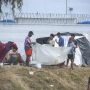 Asentamiento de migrantes en la playa El Trampolín. Marcos Moreno / Europa Press