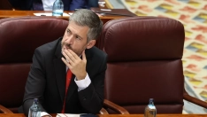 El consejero de Presidencia, Justicia y Administración Local de la Comunidad de Madrid, y responsable de Planifica Madrid, Miguel Ángel García Martín, en la Asamblea de Madrid. Alejandro Martínez Vélez / Europa Press