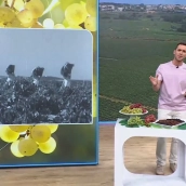 Marc Santandreu lleva 'Aquí la Tierra' a una de sus tardes más sólidas en La 1
