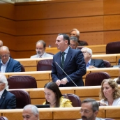 El senador de Vox Javier Valentín Alonso interviene durante una sesión plenaria en el Senado, a 29 de septiembre de 2026, en Madrid (España). Jesús Hellín / Europa Press.