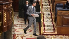 El presidente del Gobierno, Pedro Sánchez, esta mañana en la sesión plenaria por la vivienda en el Congreso de los Diputados. Eduardo Parra / Europa Press