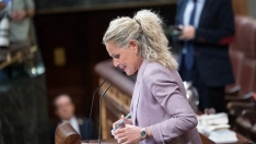 EuropaPress 7815670 portavoz ejecutiva federal psoe montse minguez sesion plenaria congreso