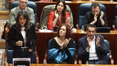 La portavoz de Más Madrid en la Asamblea de Madrid, Manuela Bergerot. Eduardo Parra / Europa Press