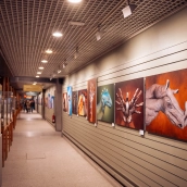 EuropaPress 5636104 varias obras animales dia inauguracion exposicion handimals museo nacional EuropaPress 5636104 varias obras animales dia inauguracion exposicion handimals museo nacional